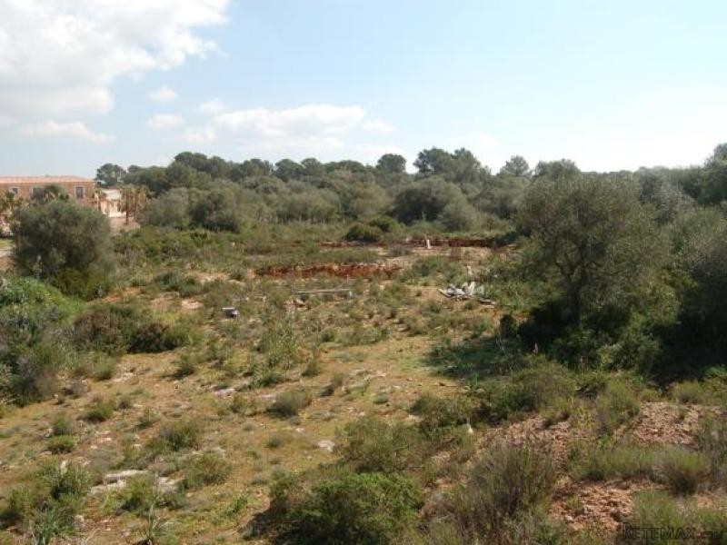 Rustic Plot To Build In Preferred..