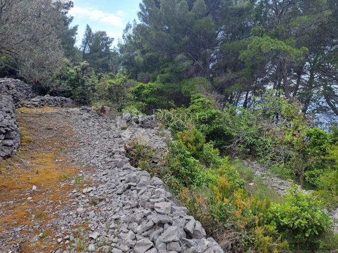 Korčula, poljoprivredno zemljište prvi red do mora - 2