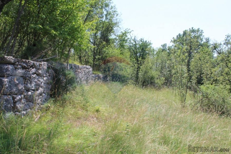 Kastav - građevinski teren 5144 m2 - 3