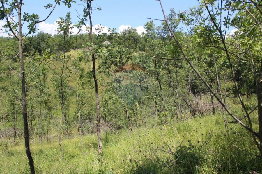 Kastav - građevinski teren 5144 m2 - 4