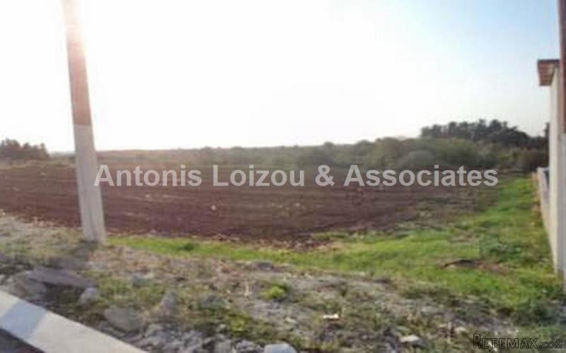 Agricultural field in Anarita For Sale..
