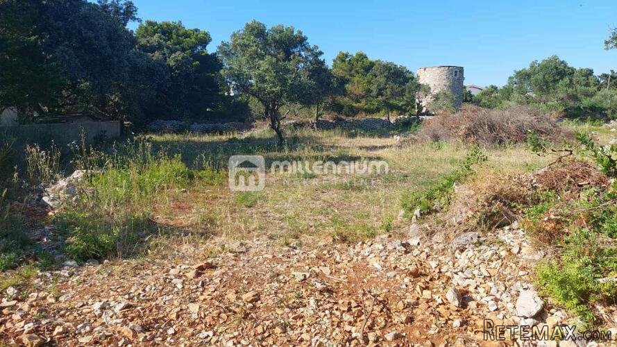 Dalmacija, otok Silba, 1.176m2 građevinskog zemljišta