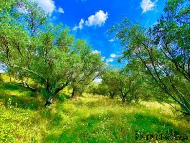 Prekrasno zemljište s panoramskim pogledom na prirodu - 2