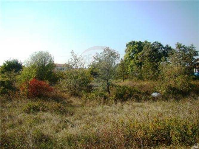 ISTRA, KANFANAR, Građevinska parcela uz asfalt - 2