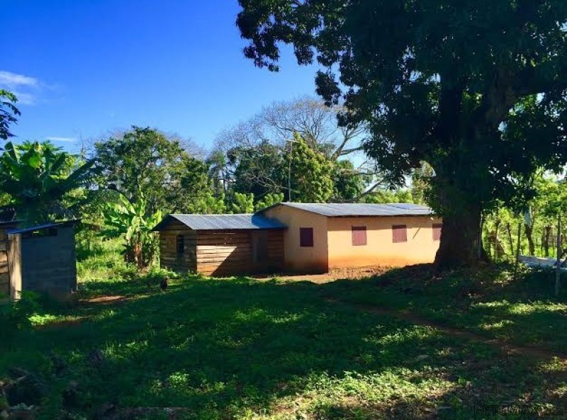 Cabarete Farm - Cattle Ranch - 2