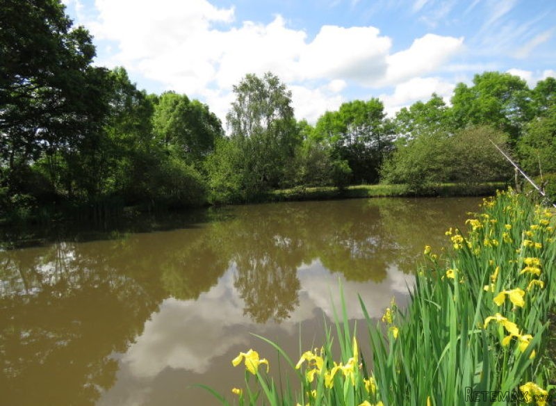 Pretty country house with lake and land. - 2