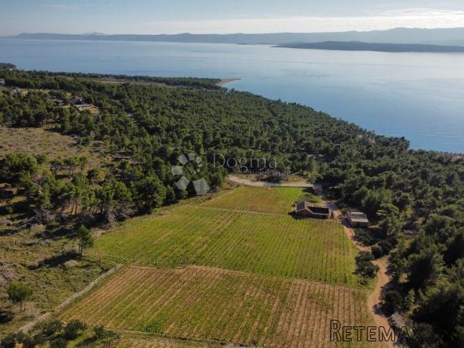 BOL 2 KUĆE + VINOGRAD OD 9614m2 S TOP POGLEDOM