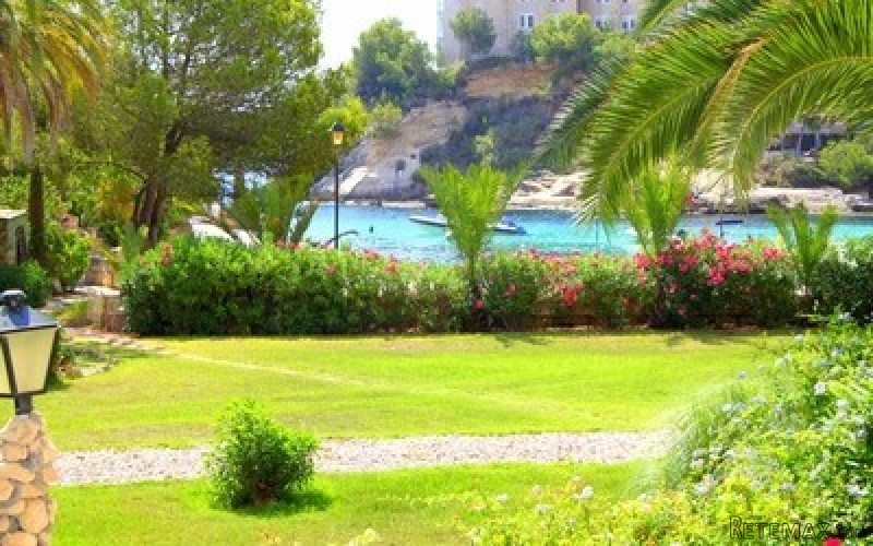 IP3-736 - Apartment For sale in Cala..