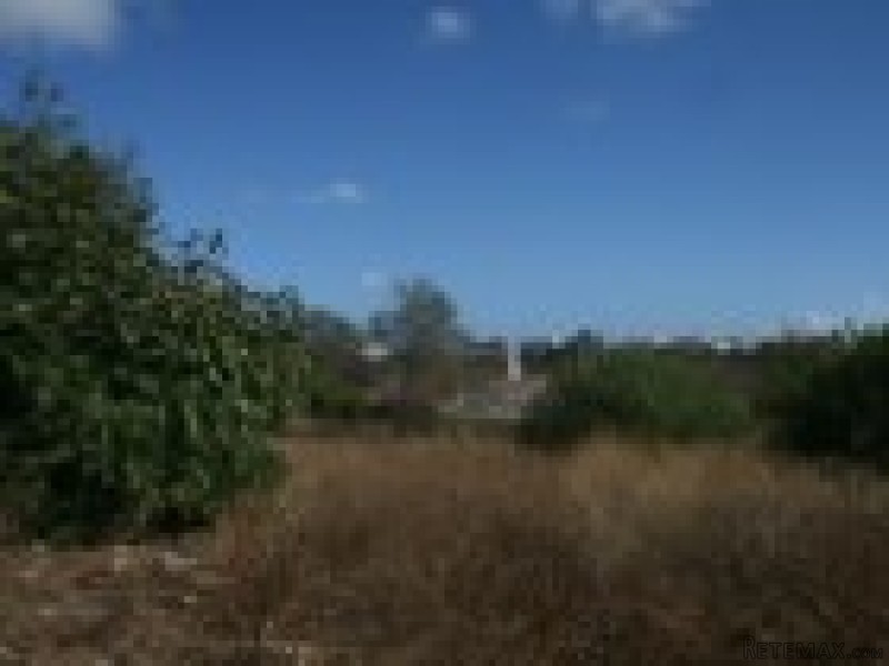 Building plot with ruin near Almancil - 2