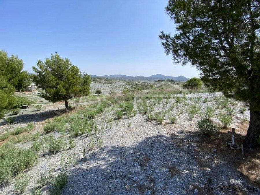 NEW & EXCLUSIVE LISTING TO VOSS HOMES - A spacious 169m2, 2.. - 11