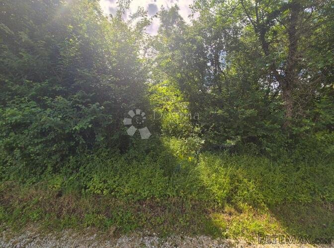 SAMO U DOGMI - GRAĐEVINSKO ZEMLJIŠTE SA POGLEDOM - 3