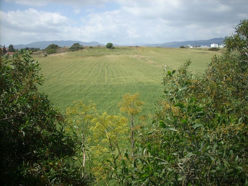 Residential Land in Moni - 2