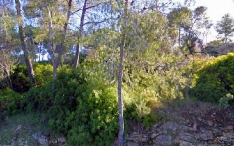 plot for sale in costa de la calma