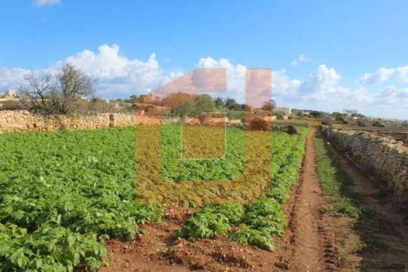 Site Attard, North For Sale