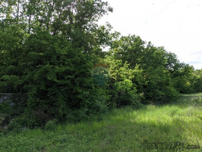 Istra, Rovinjsko Selo - šuma 8220 m2 na rubu urbanizacije - 2
