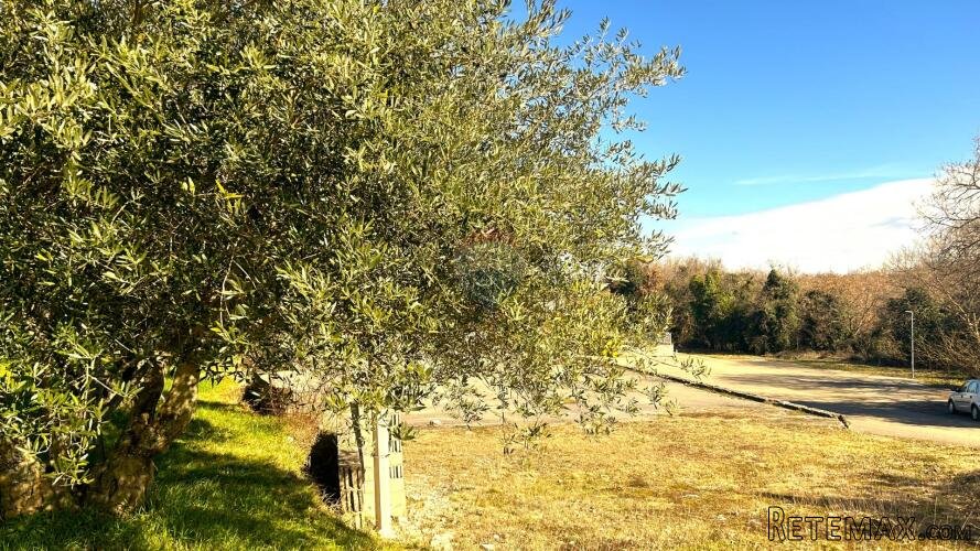 Istra,Kaštel Buje-Građevinsko zemljište - 3