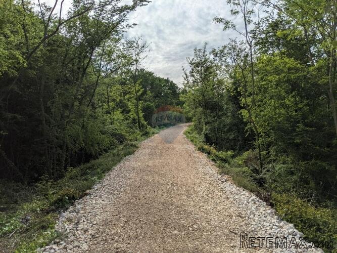Istra, Rovinjsko Selo - šuma 8220 m2 na rubu urbanizacije - 3