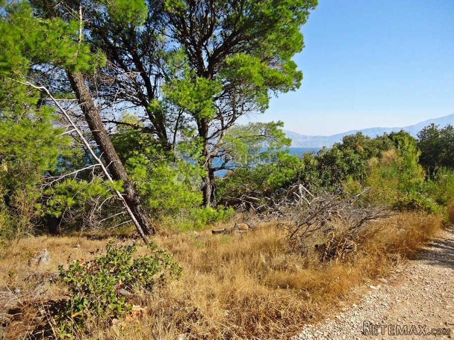 POLJOPRIVREDNO ZEMLJIŠTE KOTLINA, OTOK BRAČ - 3