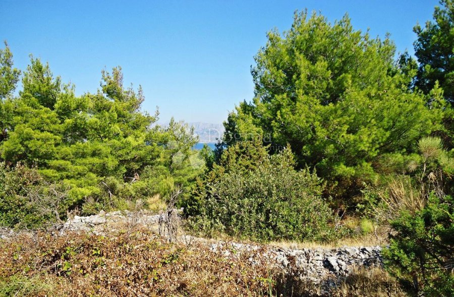 POLJOPRIVREDNO ZEMLJIŠTE KOTLINA, OTOK BRAČ - 4