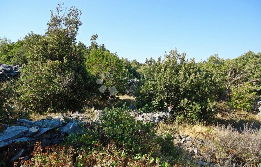 POLJOPRIVREDNO ZEMLJIŠTE KOTLINA, OTOK BRAČ - 5