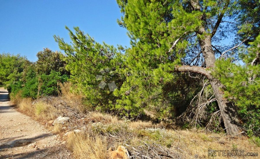 POLJOPRIVREDNO ZEMLJIŠTE KOTLINA, OTOK BRAČ - 8