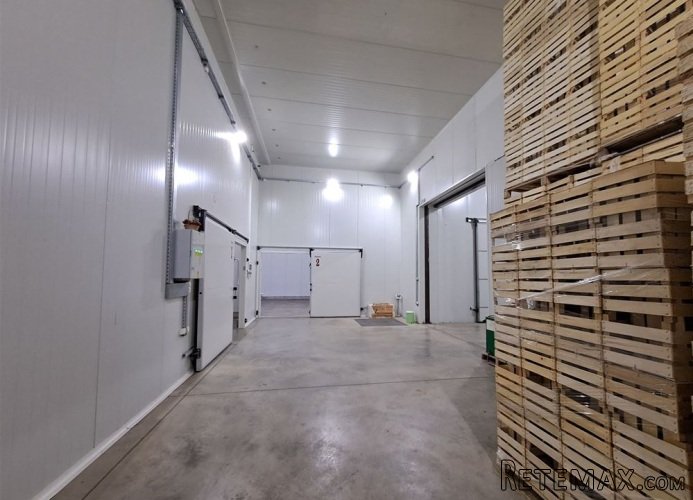 Hladnjača od 1000m2 Čačak-Viljuša - 5