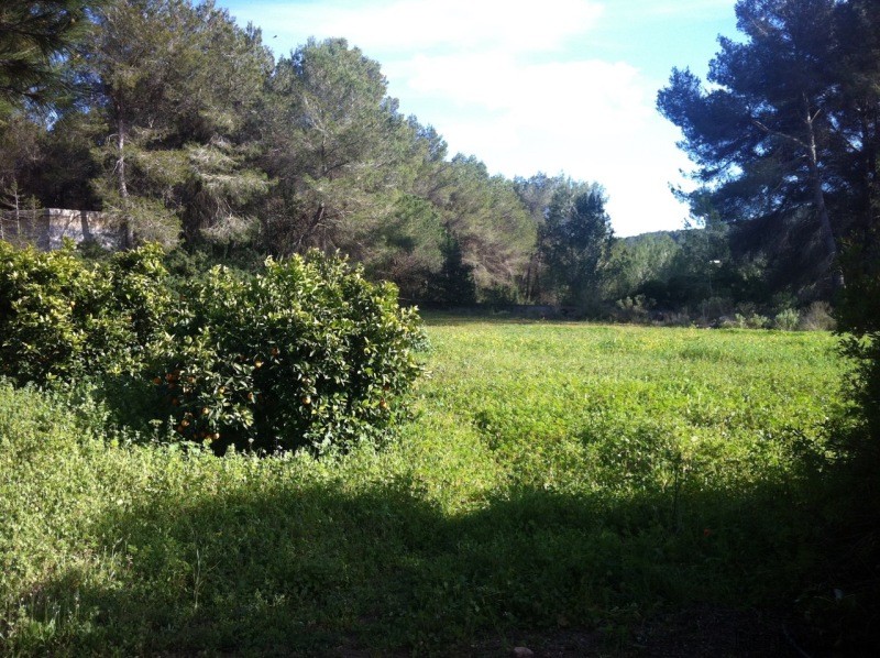 Casa Tala · San Lorenzo - 2