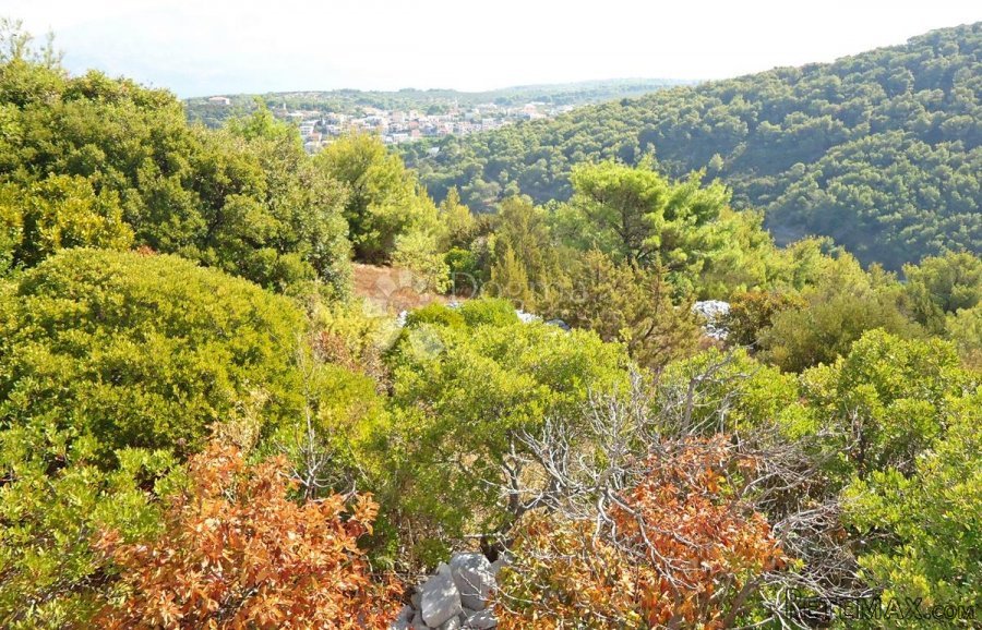 POLJOPRIVREDNO ZEMLJIŠTE SA POGLEDOM NA MORE I - 9
