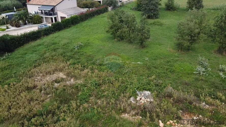 Istra, Tar - Građevinsko zemljište u užoj okolici Tara - 3
