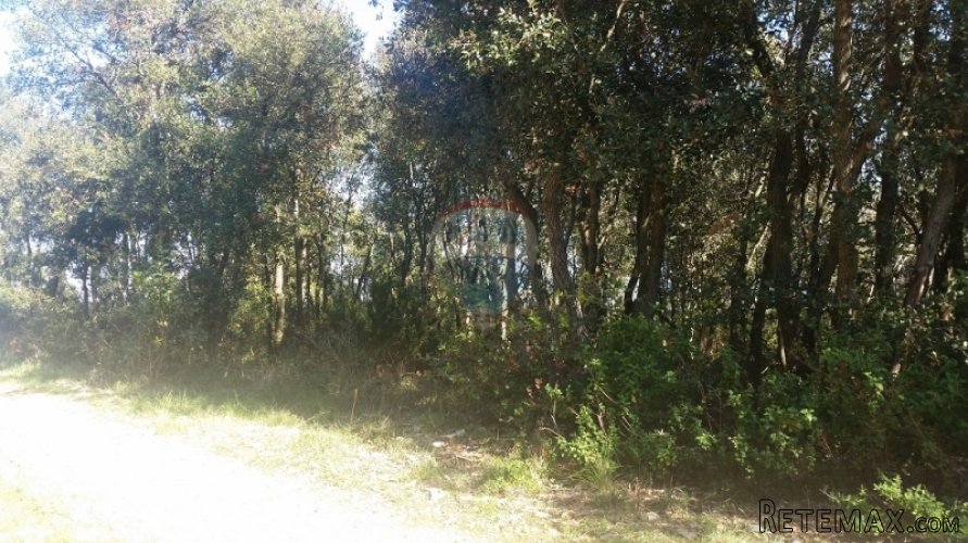 POLJOPRIVREDNO ZEMLJIŠTE 1,5 KM OD MORA! - 2
