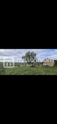 Istra, Oprtalj, 160m2, kamena kuća s velikom okućnicom - 5