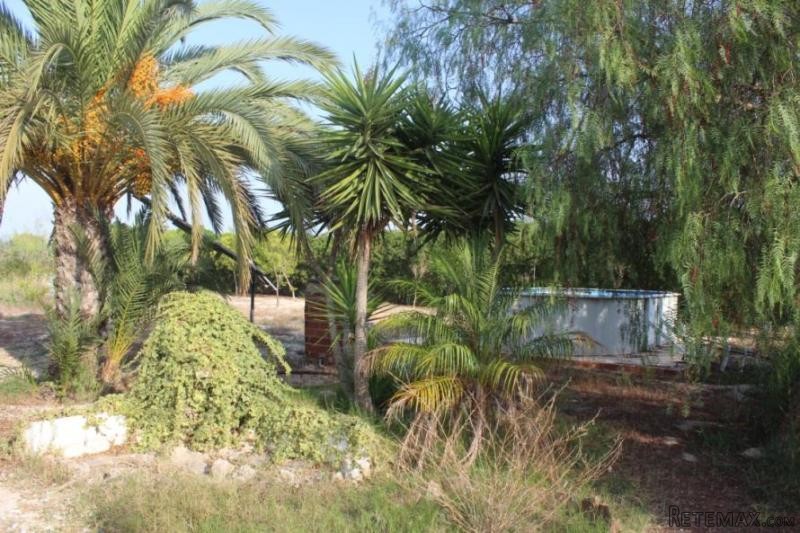 Villa in Elche (Ref. PV2584) - 2