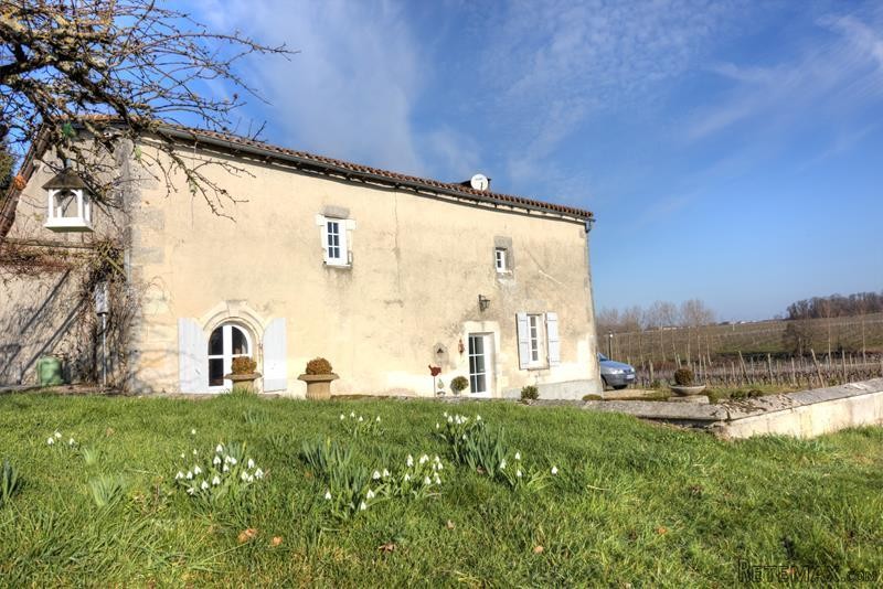 Charming House In A Vineyard Setting - 2