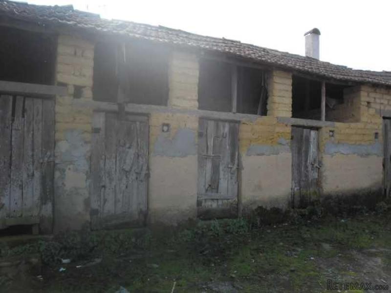 4 Bedrooms Farm For Sale - Aveiro - 2