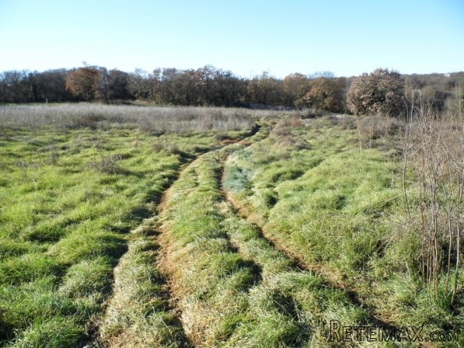 BALE, GRAĐEVINSKO I POLJOPRIVREDNO ZEMLJIŠTE 3630m2