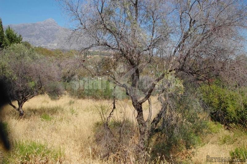 Plot/land For Sale In Nueva Andalucia..