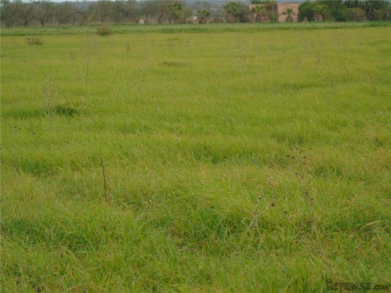 Land New Construction For Sale In Campos