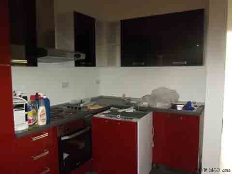 Flat, Luxurious Finish - 2