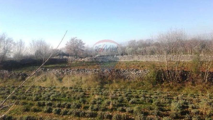 KANFANAR: LIJEPI GRAĐEVINSKI TEREN U MARIĆIMA - 2