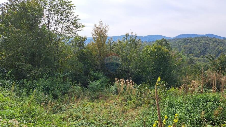 Matulji,Brdce,šumsko zemljište