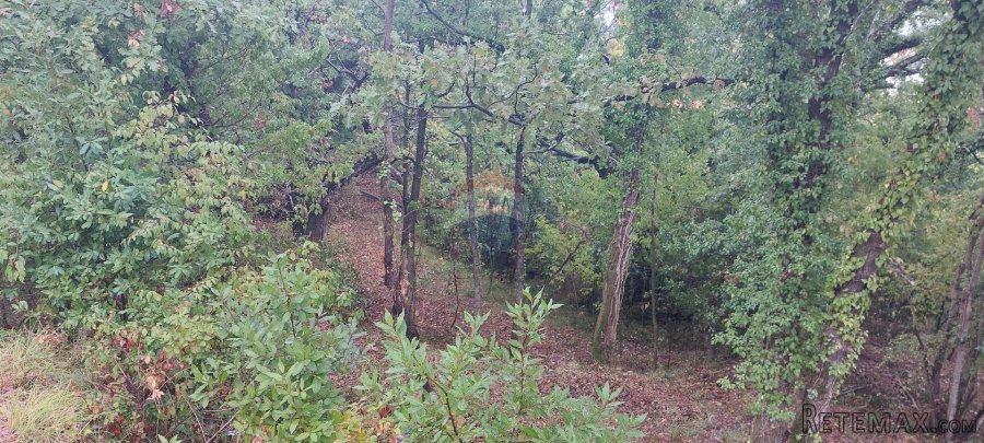 Mošćenička Draga - Obrš - Građevinski teren - 3