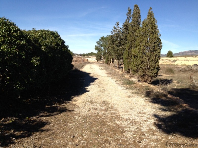 Land For Sale In Valle Del Sol Sps6429 - 2