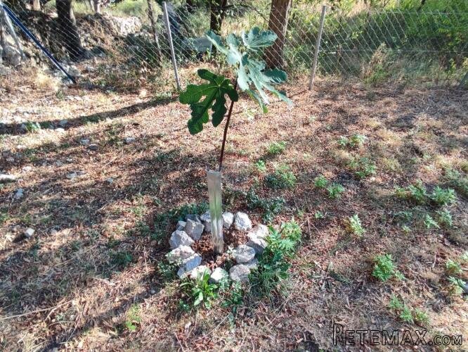 Baška - poljoprivredno zemljište 293m2, pogled