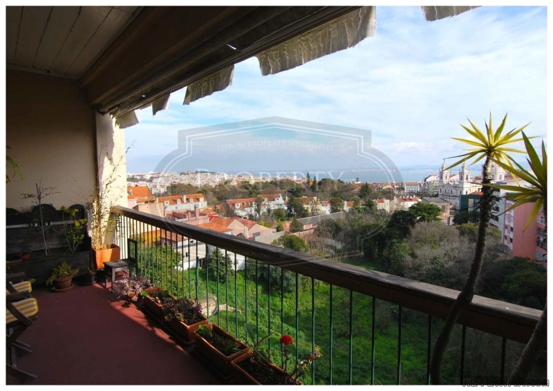 ESTRELA: Penthouse apartment 180 river..