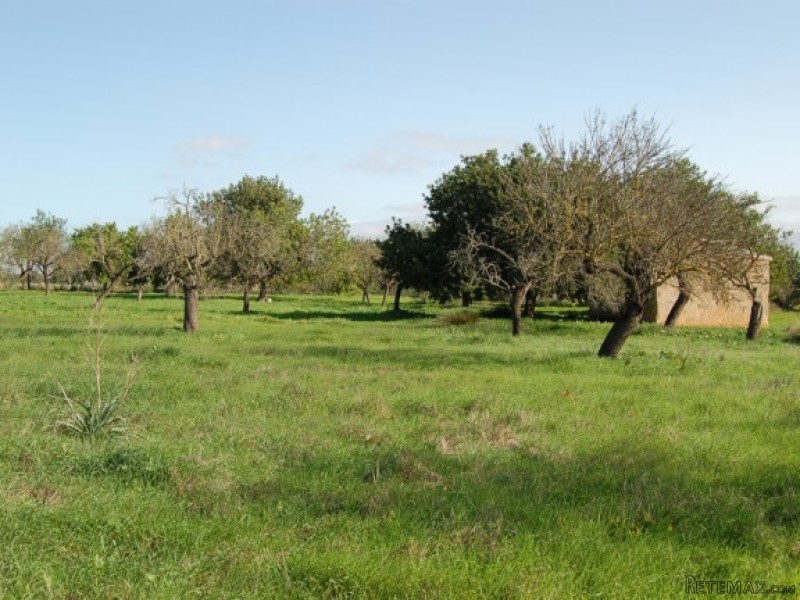 Lovely Plot With Distant Mountain Views.. - 2