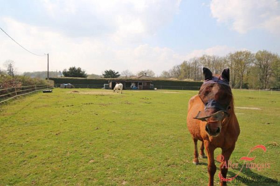 Verneuil (Charente) - 3 bedroom house with stables and 8 acres.. - 5