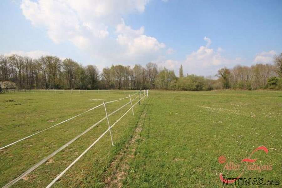 Verneuil (Charente) - 3 bedroom house with stables and 8 acres.. - 6