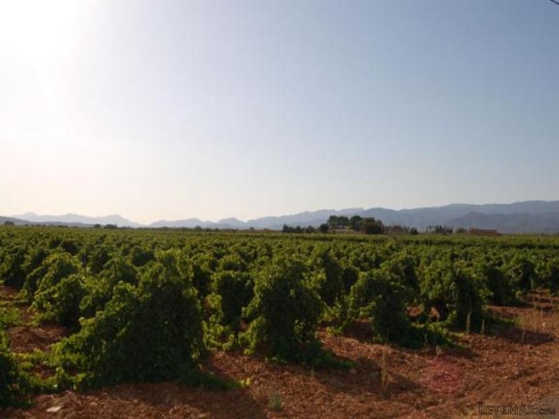 5 Plots With Licence In Santa Maria Del..