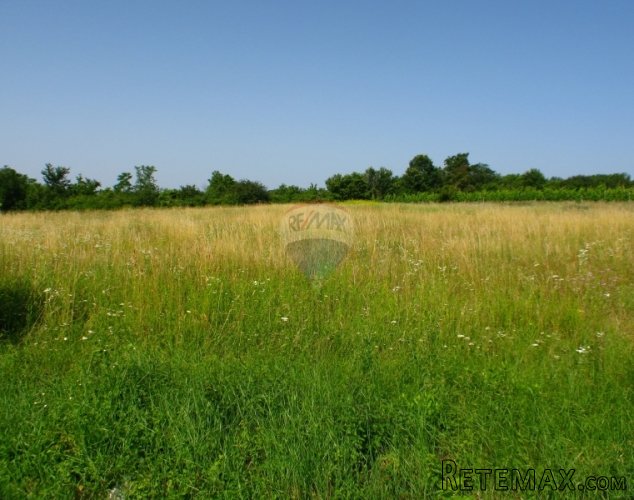 ISTRA, OKOLICA MUNTRILJA, GRAĐEVINSKO ZEMLJIŠTE 2760 M2 - 4