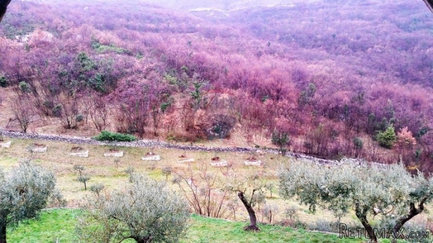KUĆA SA 4000 M2 OKUĆNICE U PLOMINSKOM ZAGORJU! - 5